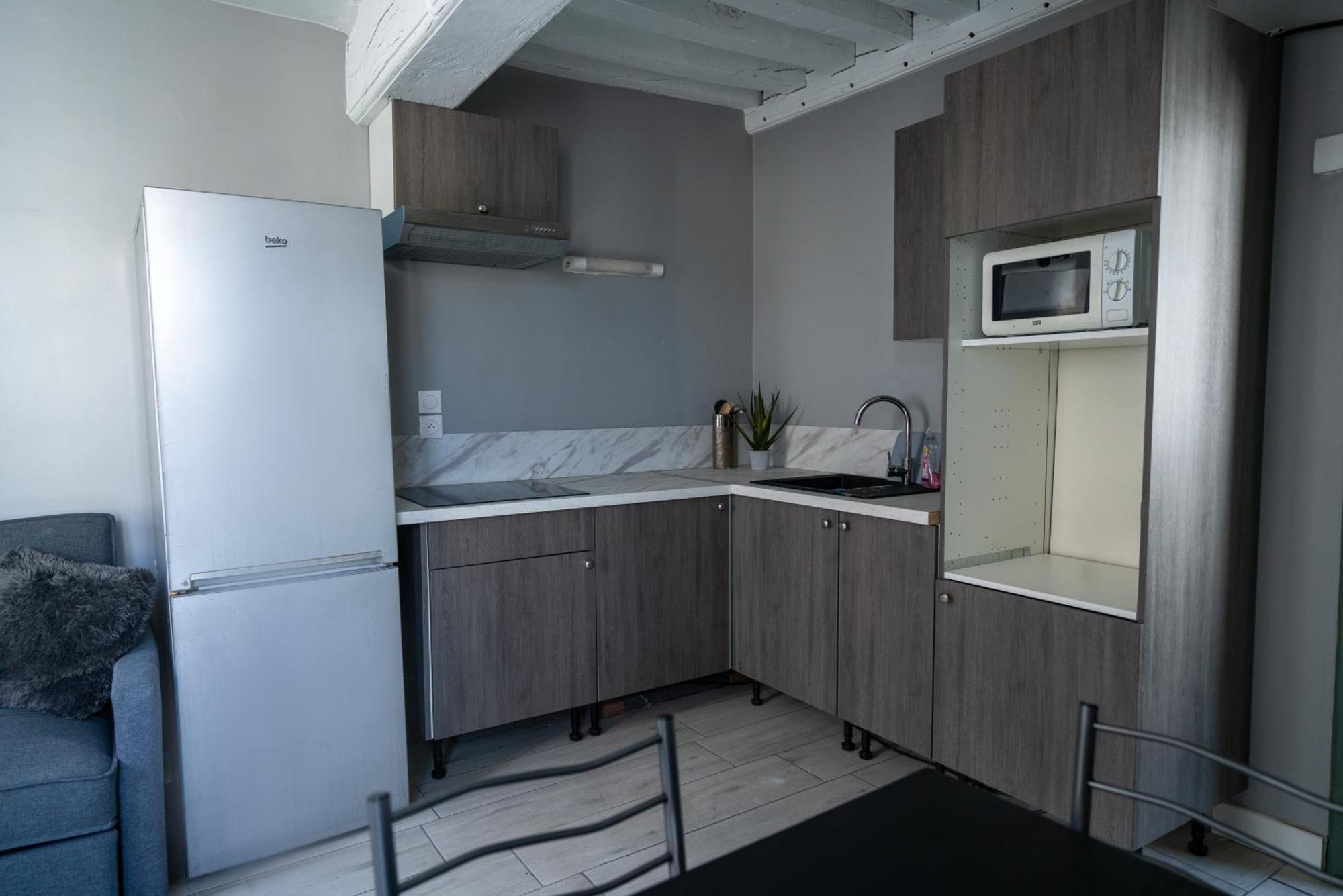 Celeste Appart - Grand Appartement Centre Ville - Refait A Neuf Orlean Zewnętrze zdjęcie